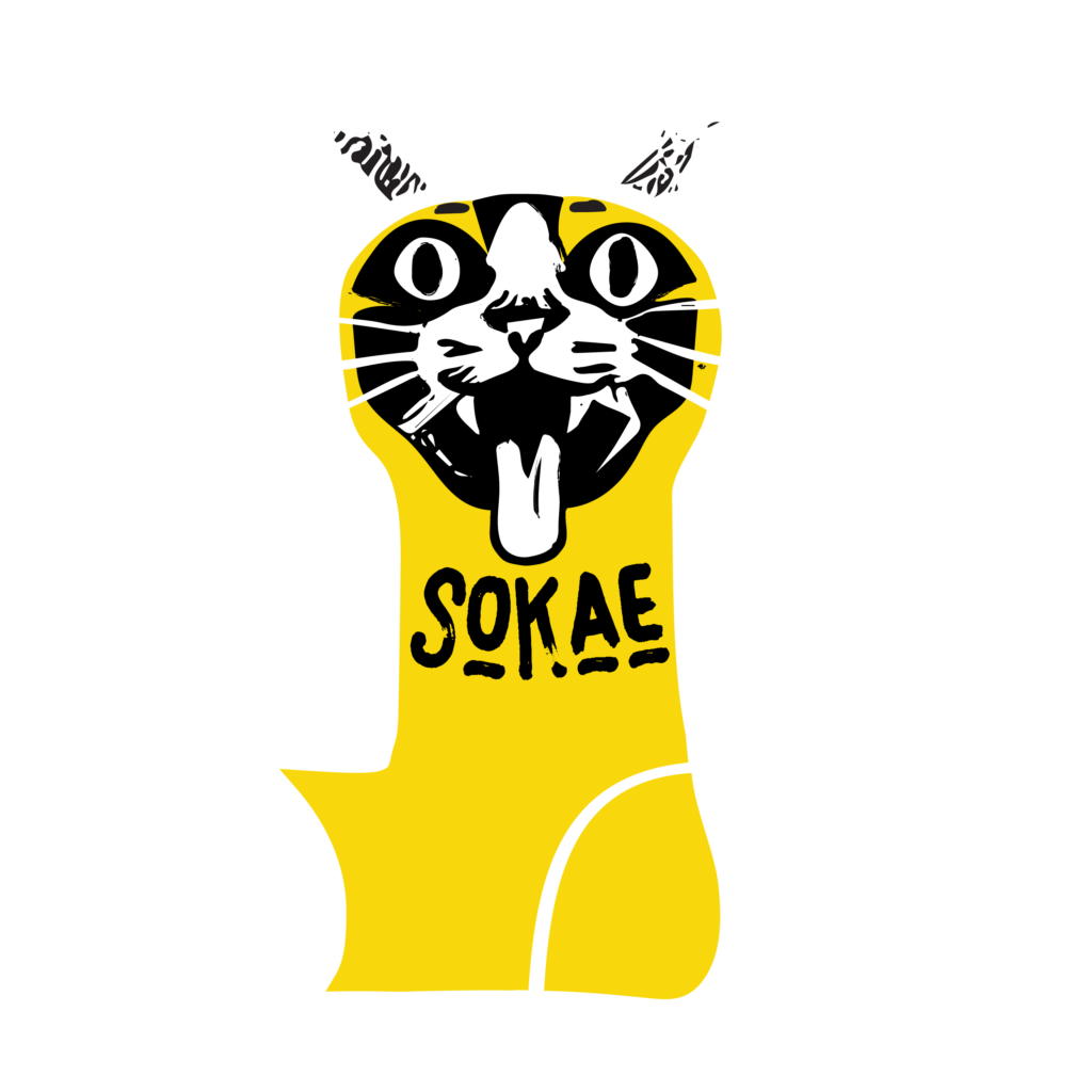SOKAE Band
